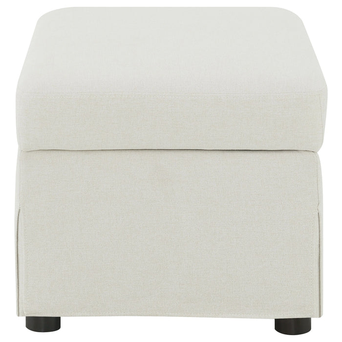 Winter Storage Ottoman