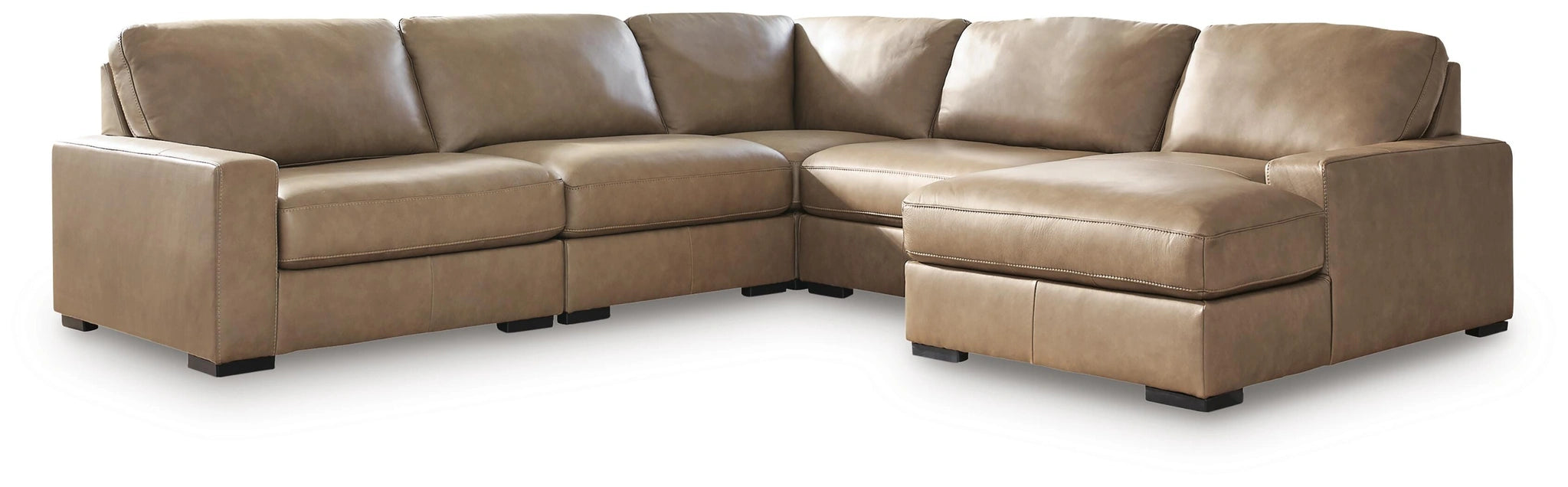 Veronella Sectional with Chaise